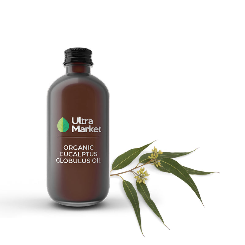 Eucalyptus globulus, ORGANIC essential oil 80% from Spain